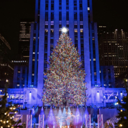 Rockefeller Christmas tree 2023 